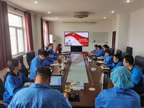 東綸公司黨支部開展主題黨日活動(dòng)